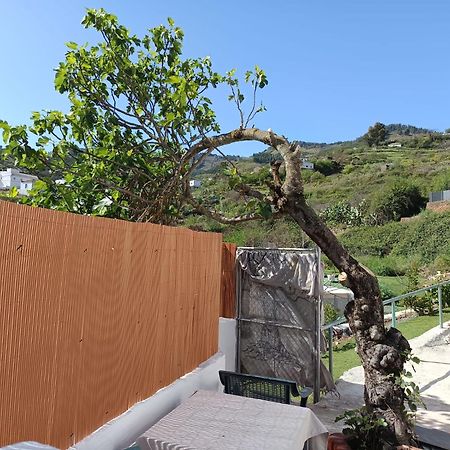 Vv Rural Finca Ecocielo 베가데산마테오 외부 사진