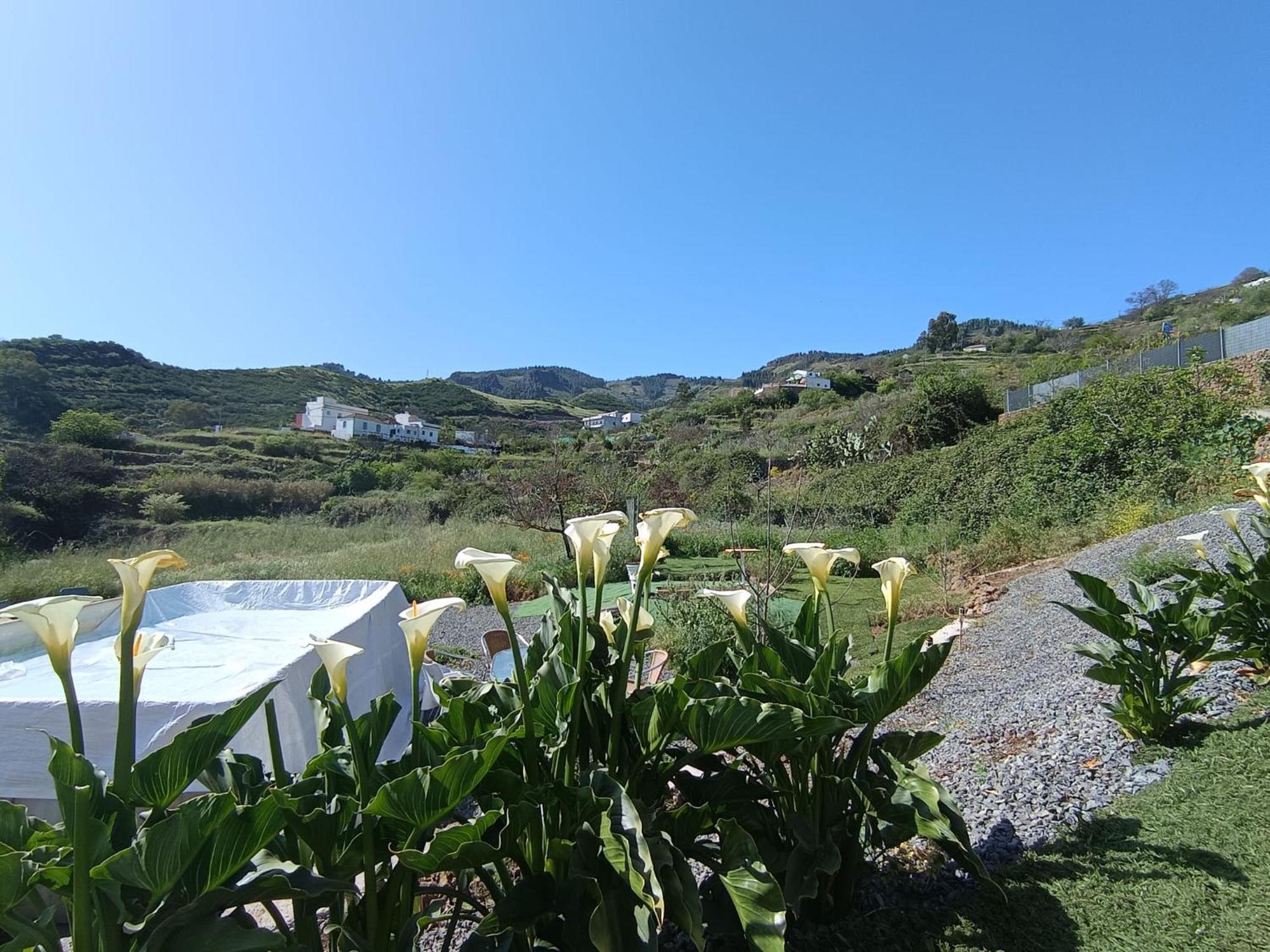 Vv Rural Finca Ecocielo 베가데산마테오 외부 사진
