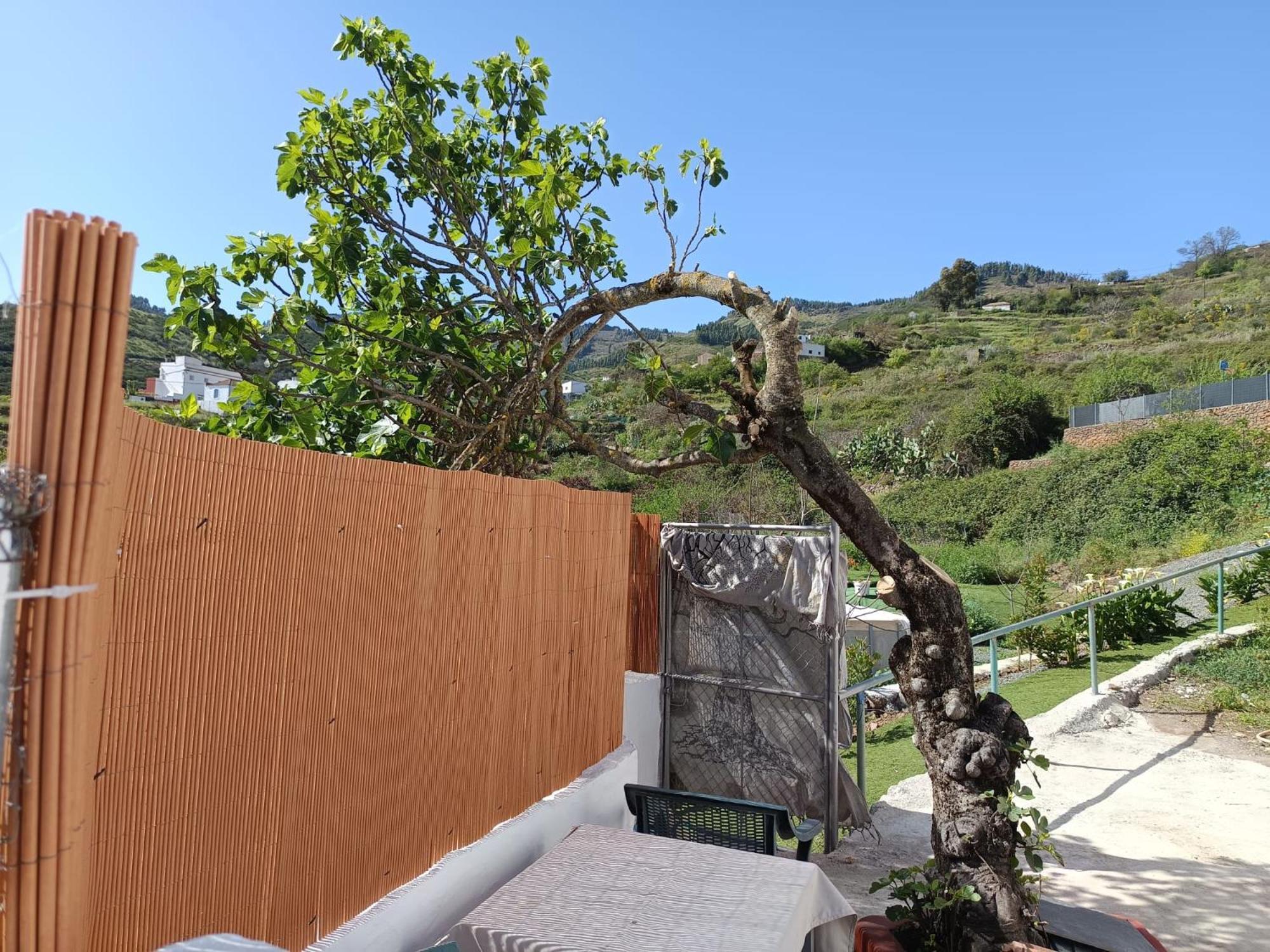 Vv Rural Finca Ecocielo 베가데산마테오 외부 사진
